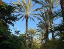 grandecanaries2025